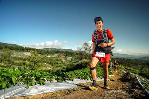 BIB: 4260
                            <button type="button" onclick="openModal(19123082)" class="btn btn-primary btn-sm float-right btn-popup" data-toggle="modal" data-target=".modal-high-quality">
                        <i class="fas fa-shopping-cart"></i> Add to Cart
                    </button>
                                            <button type="button" onclick="isThisMe(19123082, true)" class="btn btn-success btn-sm float-right btn-popup btn-isme hidden" data-toggle="tooltip" data-placement="bottom" title="นี่คือรูปของคุณใช่ไหม คลิกที่นี่เพื่อเอาเข้าอัลบั้ม">
                        <i class="fas fa-plus"></i> Add to album
                    </button>
                    <button type="button" onclick="isThisMe(19123082, false)" class="btn btn-warning btn-sm float-right btn-popup btn-isnotme hidden">
                        <i class="fas fa-ban"></i> Remove from album
                    </button>